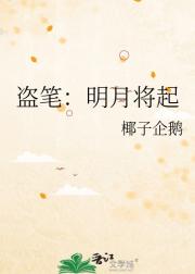 盗笔：明月将起