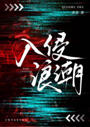 入侵浪潮[赛博]