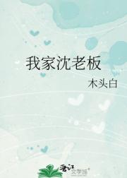 我家沈老板
