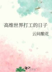 高维世界打工的日子