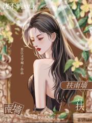 扶南墙