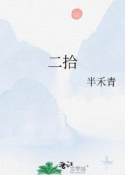 二拾