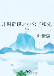 开封奇谈之小公子和先生