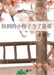 捡到的小包子当了皇帝