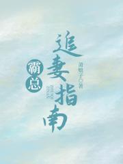 霸总追妻指南