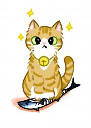 猫猫我啊，养两脚兽捏