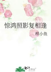 惊鸿照影复相逢