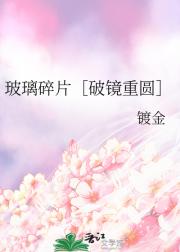 玻璃碎片