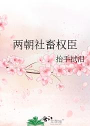 两朝社畜权臣