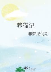 养猫记