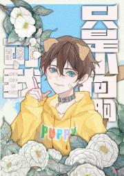 向绿茶小狗献上甜蜜play