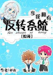 当我拥有反转系统后