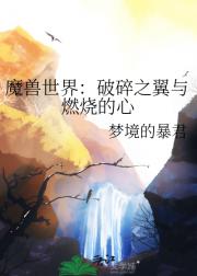 魔兽世界：破碎之翼与燃烧的心