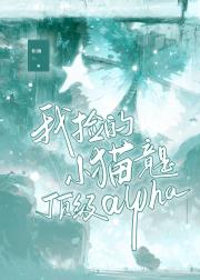我捡的小猫竟是顶级alpha