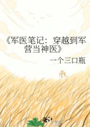 军医笔记：穿越到军营当神医