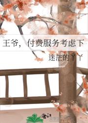 王爷，付费服务考虑下
