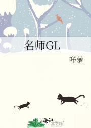 名师GL