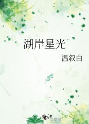 湖岸星光