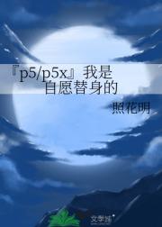 『p5/p5x』我是自愿替身的