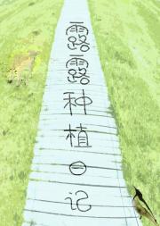 露露种植基地