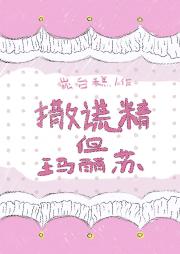 撒谎精但玛丽苏