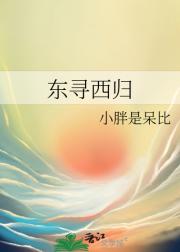 东寻西归