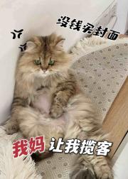 宦宠：厂公，娶我可好？