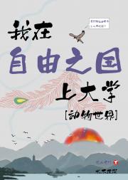 我在自由之国上大学