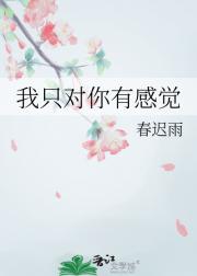 我只对你有感觉