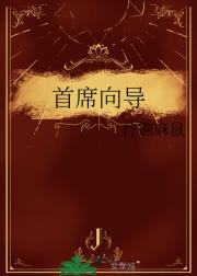 首席向导
