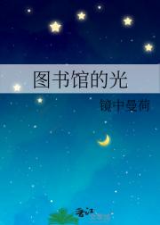 图书馆的光