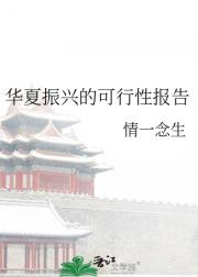 华夏振兴的可行性报告