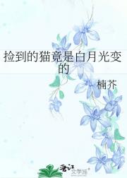 捡到的猫竟是白月光变的