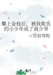 攀上金枝后，被我欺负的小少年成了真少爷