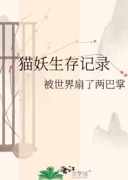 猫妖生存记录