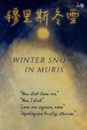 穆里斯冬雪