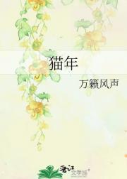 猫年