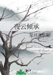 夜云倾承