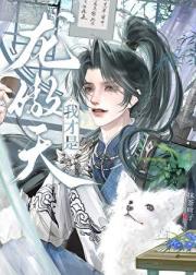 我才是龙傲天