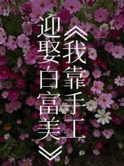 我靠手工迎娶白富美（虫族）