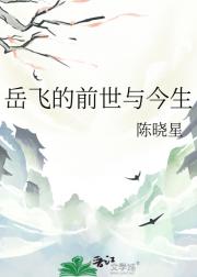 岳飞的前世与今生