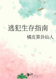 逃犯生存指南