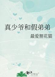 真少爷和假弟弟