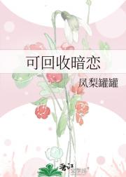 可回收暗恋