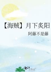 【海贼】月下炙阳