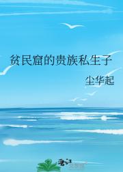 贫民窟的贵族私生子