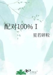 配对100%Ⅰ