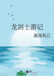 龙剑士游记
