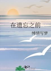 在遗忘之前