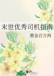 末世优秀司机指南